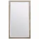 Sidney Warm Silver Faux Silk Rectangular Mirror