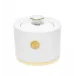 Swords Luxury Gold Sugar Bowl Gold Rim