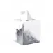 Lava/Explosive Pure White/Silver  Square Tissue Holder (5.75"L x 5.25"W x 6"H)