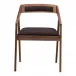 Padma Arm Chair Black