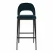 Roger Bar Stool Teal