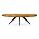 Parq Oval Coffee Table Amber