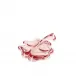 Shamrock Rosalin Shamrock 12,5 cm