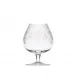 Maharani Brandy Glass 600 ml