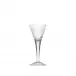 Maharani Clear Lead-Free Crystal, Cut, Engraving Goblet 50 ml