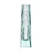 Lara /B Vase Beryl Lead-Free Crystal, Cut, Engraving Iris 26 cm