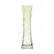 Sinorita Underlaid Vase Reseda Lead-Free Crystal, Optic, Engraving Iris 35 cm