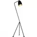 Qs Asti Floor Lamp, Black Metal