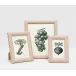 Eton Dusty Rose Picture Frames Full-Grain Leather