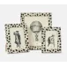 Hana Dalmatian Print Frames