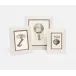 Dorchester Blanc Picture Frames Realistic Faux Shagreen