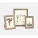 Verwood Gray Frame 4"L x 6"H