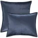 Panne Velvet Sapphire Decorative Pillow