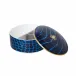 Alligator Sapphire Jewelry Box (Special Order)