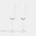 Classic Cocktail Champagne Flute Set of 2