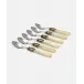 Vittoria Ivory Coffee Spoon