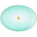 Aura Oval Platter 14.2 X 10.2 in