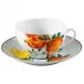 Harmonia Breakfast Cup Diam 4.5 in