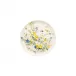 Brillance Fleurs Des Alpes Bread & Butter Plate Coupe 7 in