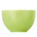 Sunny Day Apple Green Fruit/Cereal bowl Round 4.75, 15 oz