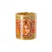 Medusa Amplified Orange Coin Vase 7 in