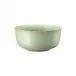 Nature Leaf/Green Serving Bowl 9 1/2 in