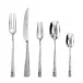 Skin 5-Pc Place Setting Hollow Handle 18/10 Stainless Steel