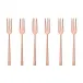Cake & Coffee Gift Box, 6 Pastry Forks, Rock Pvd Copper