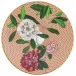 Tresor Fleuri Beige Rhododendron Coupe Plate Flat 6.3 in Gift Box