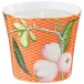 Tresor Fleuri Orange Pomme D'Eau Candle Pot 3.35 in Gift Box