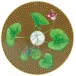 Tresor Fleuri Marron Asarum Coupe Plate Flat 6.3 in Gift Box