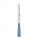 Icon Light Blue Dinner Knife 9.25"