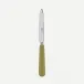 Basic Sage Green Dessert Knife 8"