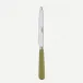 Basic Sage Green Serrated Dinner Knife Blade 9.25"