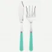 Duo Turquoise Fish Serving Set