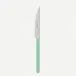 Bistrot Solid Pastel Green Dinner Knife 9"1/4