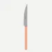 Bistrot Vintage Nude Pink Dinner Knife 9.25"