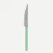 Bistrot Vintage Pastel Green Dinner Knife 9.25"