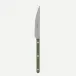 Bistrot Vintage Pearly Dark Green Dinner Knife 9.25"