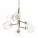 Caledonia Chandelier with 6 Globes Soft Gold