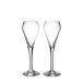 Vintner Flute Set of 2