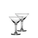 Ascutney Martini Set of 2