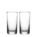 Ascutney Tumbler Set of 2