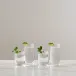Woodstock Tumbler