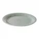 Belmont Crackle Celadon Dinner Plate