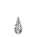 Vermont Silver Leaf Evergreen 6"