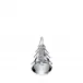 Five Sided Evergreen in Gift Box 6 Inch