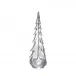 Vermont Silver Leaf Evergreen