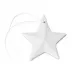 Star Pottery Ornament in Gift Box Dove