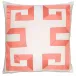 Empire Birch Coral Ribbon 22 x 22 in Pillow